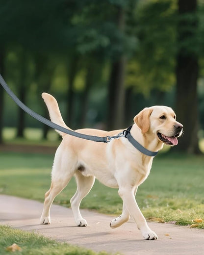 Joytale Large Dog Collar, Reflective and Adjustable Nylon Pet Collar - Image 6