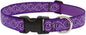 LupinePet Originals 1" Jelly Roll 25-31" Adjustable Collar by LupinePet