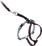 PetSafe Come with Me Kitty Harness and Bungee Leash by PetSafe