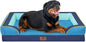 Comfort Expression Orthopedic Dog Bed by ComfortExpression