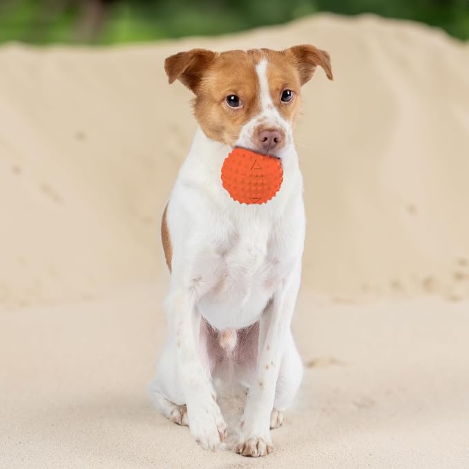 Best Pet Supplies Squeaky Dog Toys - Image 6