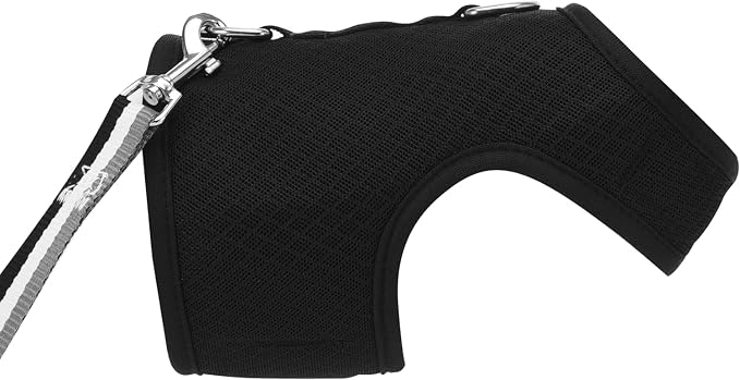 Cat Harness and Leash for Walking Escape Proof Breathable Mesh Fabric, Solid - Image 6