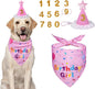 Dog Birthday Decorations, Dog Birthday Hat by Yicostar