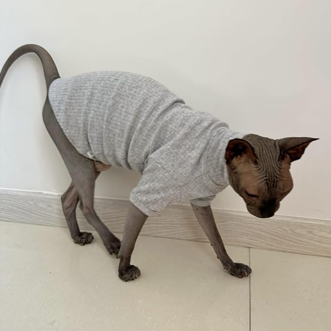 Sphynx Hairless Cats Shirt Cotton Cat Turtleneck Sweater Pullover Kitten - Image 3