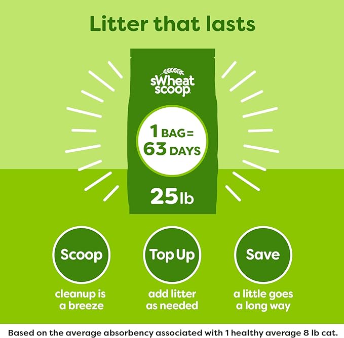 sWheat Scoop Natural Wheat Multi-Cat Litter, Superior Clumping - Image 6