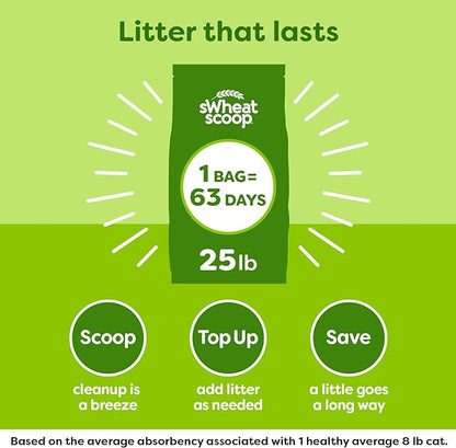 sWheat Scoop Natural Wheat Multi-Cat Litter, Superior Clumping - Image 6
