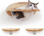 FUKUMARU Cat Wall Furniture Set, Transparent Capsule Kitten Walls Shelves by FUKUMARU