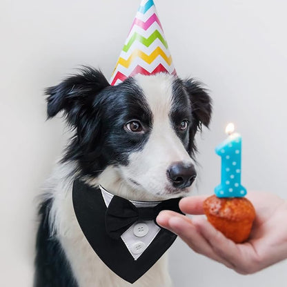 FUAMEY Dog Tuxedo, Adjustable Black Polycotton, Formal Attire - Image 3