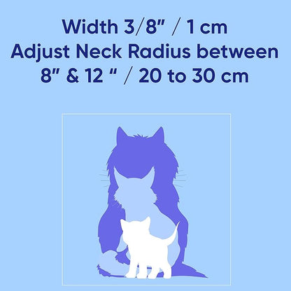 Pawtitas Reflective Teal Cat Collar - Image 6