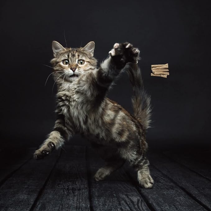 Cat Dancer Interactive Cat Toy - Image 2