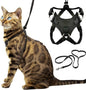 Houdini™ Escape Proof Cat Harness and Leash Set by OutdoorBengal by OutdoorBengal