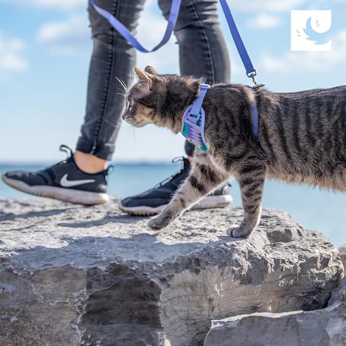 RC Pets Adventure Kitty Harness Includes Adjustable, Airmesh Fabric - Image 2