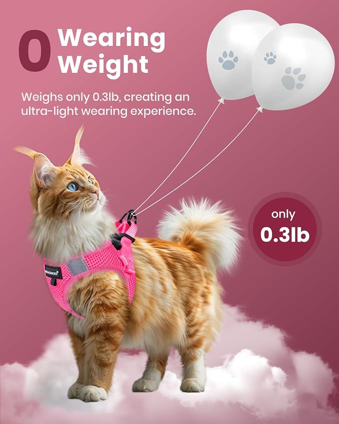 FAYOGOO Cat Harness and Leash Set | Upgrade Step-in Escape Proof Harness | - Image 4