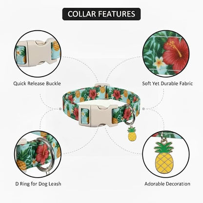 Summer Dog Collar with Tropical Pattern, Cute Dog Collar - Image 3