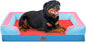Comfort Expression Orthopedic Dog Bed by ComfortExpression