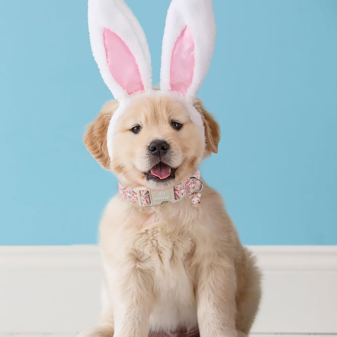 Easter Dog Collar for Medium Dogs - Image 3