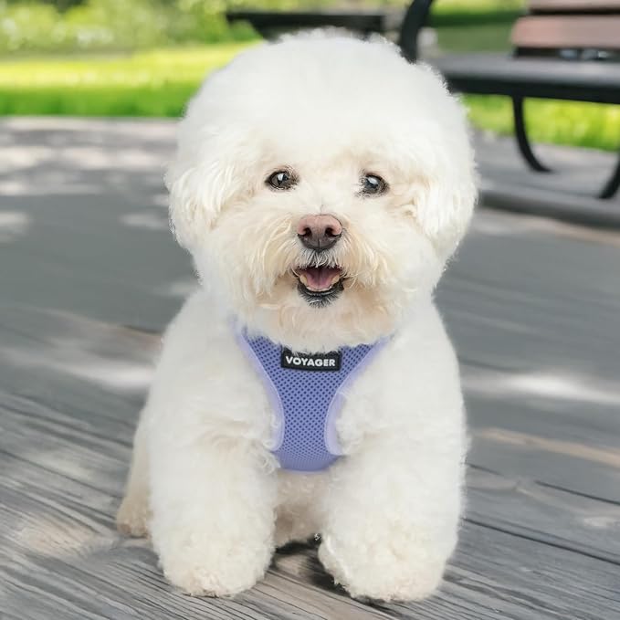 Best Pet Supplies Voyager Step-in Air Harness - Image 6