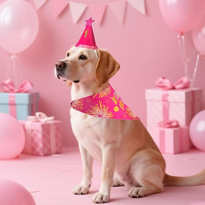 Dog Birthday Decorations Rose Pink, Dog Birthday Party Supplies - Image 8
