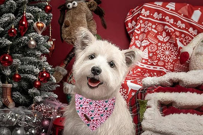 Lionet Paws Cotton Christmas Dog Bandanas Pink, Gloves Tree Comfortable Dog - Image 2
