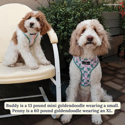 Lucy & Co. Cute Reversible Dog Harness Walking Halter - Image 2