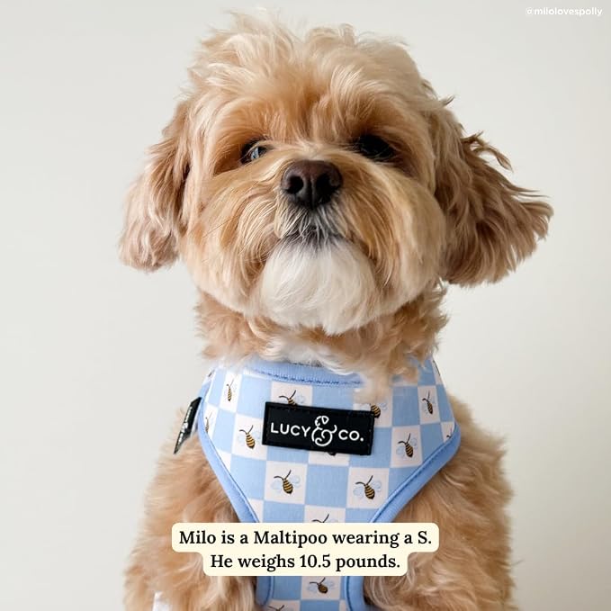 Lucy & Co. Bumbling Around Reversible Dog Harness, Adjustable Comfort Fit - Image 2