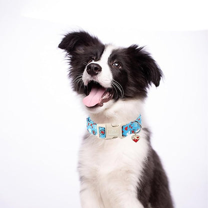 Valentines Dog Collar, Cute Loving Heart Printed Collar - Image 5