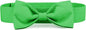 Segarty Bow Tie for Dogs Neck Girth 16.5-21.3in, Adjustable Green Bowtie Collar by Segarty