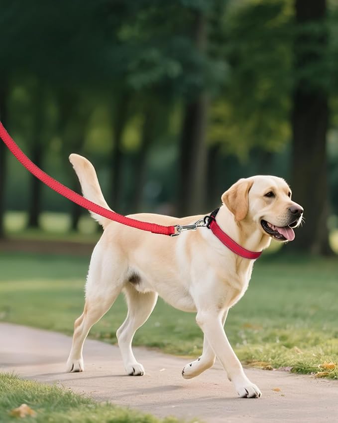 Joytale Large Dog Collar, Reflective and Adjustable Nylon Pet Collar - Image 6