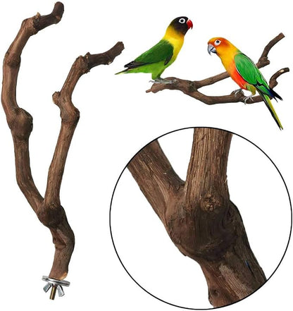 PINVNBY Natural Parrot Perch Bird Stand Pole Wild Grape Stick Paw Grinding Fork - Image 5