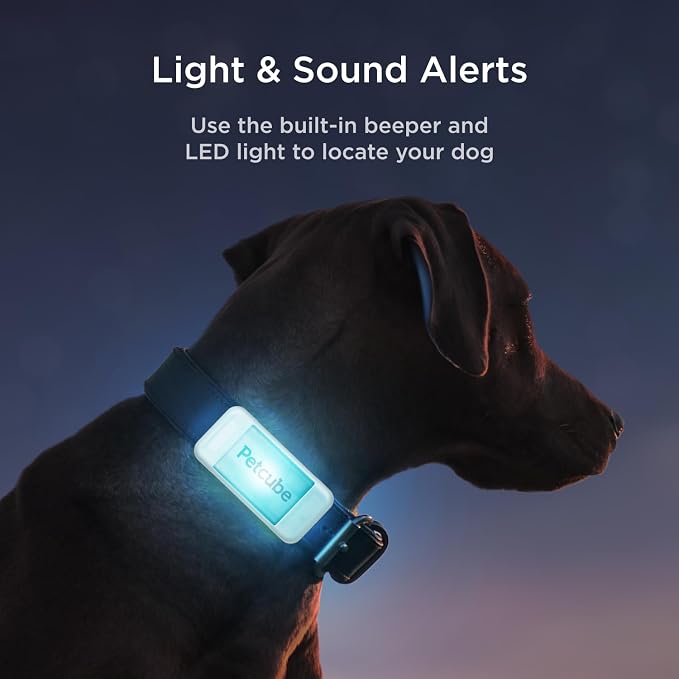 Petcube GPS Tracker for Dogs – Real-Time Location Tracking, Escape Alerts & - Image 4