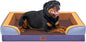Comfort Expression Orthopedic Dog Bed by ComfortExpression