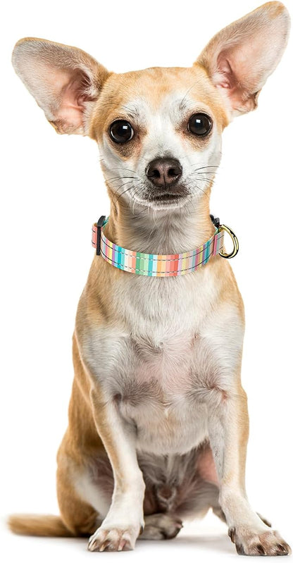 Reflective Dog Collar, Cute Dog Collar - Image 2