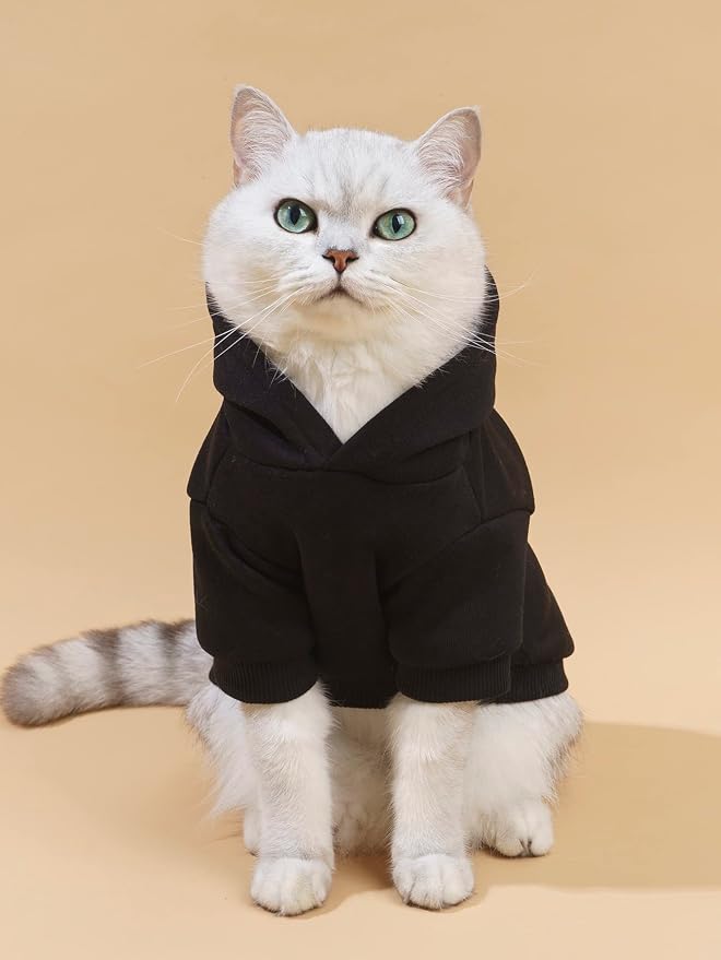 QWEEE Stylish Dog Clothes - Image 2