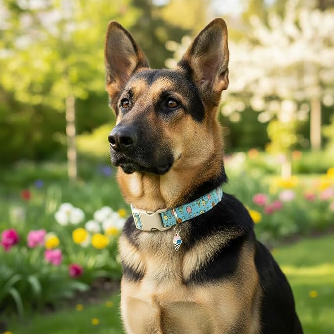 Cute Dog Collar, Girl Boy Dog Collar - Image 7