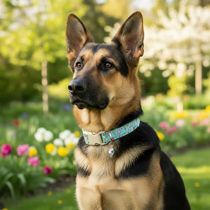 Blue Dog Collar for Large Dogs, Boy Girl Dog Collar - Image 7