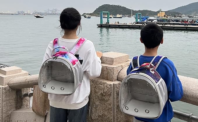 Guinea Pig Carrier Backpack, Bearded Dragon Backpack, Reptile Lizard Clear - Image 6