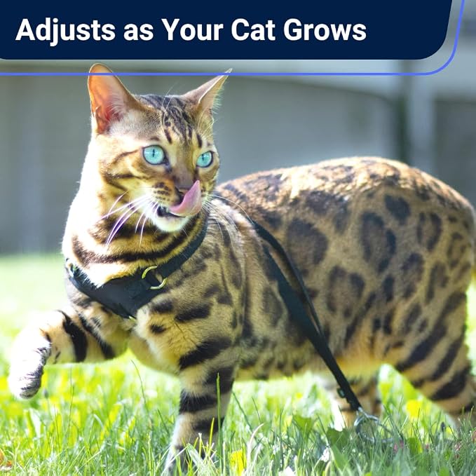 Houdini™ Escape Proof Cat Harness and Leash Set by OutdoorBengal - Image 5