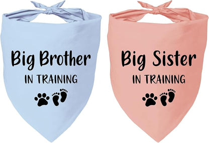 2 Pack Dog Bandana Pregnancy Announcement, Big Brother Sister in Training by YROVWENQ