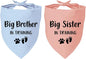 2 Pack Dog Bandana Pregnancy Announcement, Big Brother Sister in Training by YROVWENQ