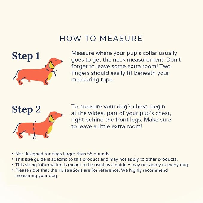 Lucy & Co. Cute Reversible Dog Harness Walking Halter - Image 7