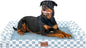 Large Dog Bed Orthopedic Washable: Beds Bolster XXL Bed Big XLarge Dogs Egg by Nanuya
