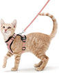 rabbitgoo Cat Harness and Leash by rabbitgoo