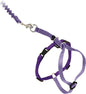 PetSafe Come With Me Kitty Cat Harness & Bungee Leash by PetSafe