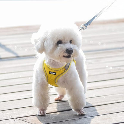 AIITLE No Pull Dog Harness and Leash Set, Step in Adjustable Dog Harness - Image 3