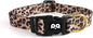 QQPETS Adjustable Soft Dog Collar: Print Flower Pink Multicolor Cute Patterns by QQPETS