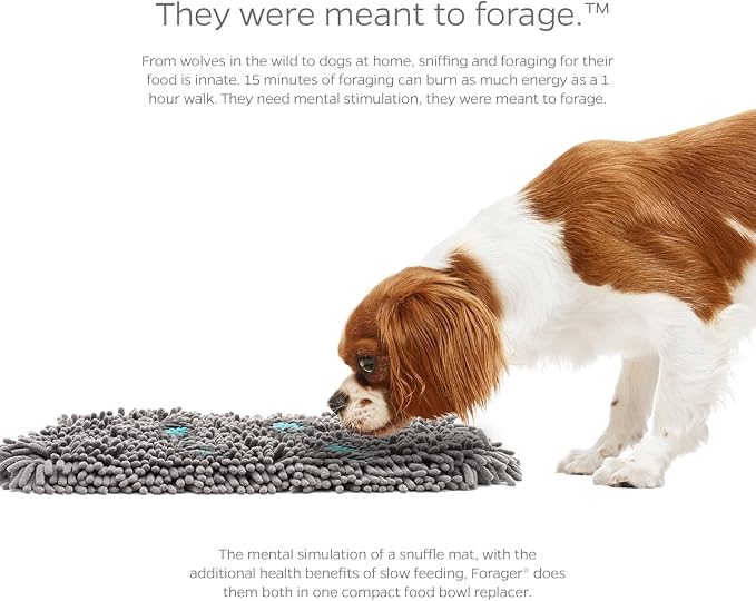 Pet Parents Forager Snuffle Mat - Image 4