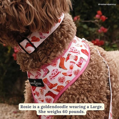 Lucy & Co. Dog Collar - Image 2