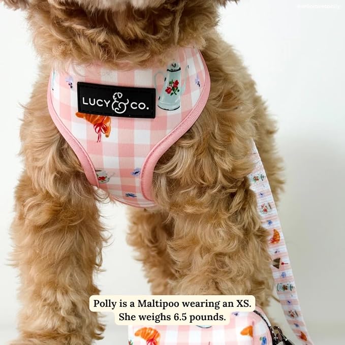 Lucy & Co. Sipping Slowly Reversible Dog Harness, Adjustable Comfort Fit - Image 4