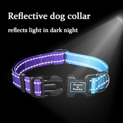 Roses&Poetry Reflective Dog Collar - Image 3
