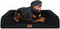 Comfort Expression Orthopedic Dog Bed by ComfortExpression